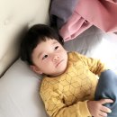 예블링 이미지