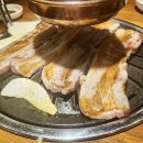 고기싸롱 티스토리