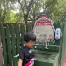 뮤직판타지아 | 대구 이월드 꿀팁 후기, 동대구역에서 가는 방법 및 입장료 할인, 동물원, 놀이기구 추천 등 이모저모 소개