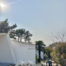 거제도 가성비 좋은 오션뷰 풀빌라 펜션 생각속의집 내돈내산