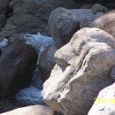 섬진강어울펜션 이미지