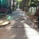 옥구지구대 이미지