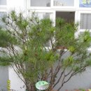 다사초등학교 이미지