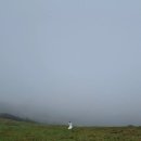 호우목장 이미지