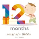 인더발코니