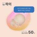 송화로35번길 20-19 | 임신 후기 [28주-33주] 출산휴가 시작 • 45ID 만삭 기념사진 • 결혼 1주년 • 백일해 접종 • 광주...