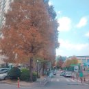 사파동192 이미지