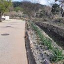 월항면 안포교차로 이미지