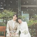 옐로우스완케이크