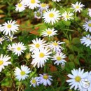 미당시문학관 관광안내소 이미지