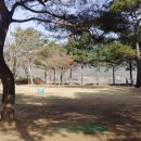 서종체육공원 | 양평 서종파크골프장 이용정보 요금 위치 정보 등