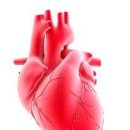 버썸버디짐 이미지