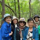 박경리뮤지엄 이미지