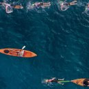 힐링요가 A팀 이미지