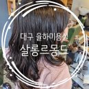 트렌디한 대구 율하미용실 추천 살롱르몽드