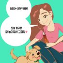 (주)씨제이피 네이버블로그