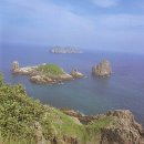 여수 상백도 하백도 일원 Daum카페