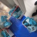 한신마스터 | 포항에어컨청소, 신축 아파트에도 꼭 필요한 이유! (펜타시티 한신더휴 후기)