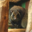 다람쥐모텔 이미지