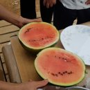 구수골농장 이미지