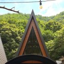 별을 담은 숲 이미지