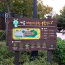 계룡어린이공원 화장실 이미지