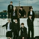 엔싸인 카카오 검색결과