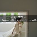 오늘부터 작가 | [PostStudio-4] 라앤디 스튜디오 촬영후기(센터피스, 소품 리뷰, 이성식 작가님 추천)
