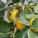 달곡농장 이미지