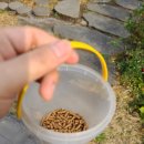 동신목장 이미지