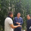 김태종농장 이미지