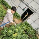 정후농장 이미지