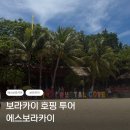 파라 | 보라카이 호핑투어, 에스보라카이 내돈내산 파라세일링 호핑투어 후기
