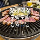 모락식당 | [경기 화성] 회식 장소로 딱 좋은 모락모락정육식당 방문후기