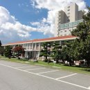 광주교육대학교박물관 Daum카페