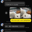 드르롱 이미지