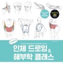 초보자를 위한 드로잉수업 네이버블로그