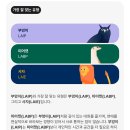 베이커리온유 네이버블로그