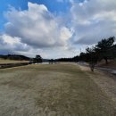 ㈜조선우드 | 제주 타미우스 골프앤빌리지 정보와 라운딩 후기! [이춘근 스포츠운동#17 티스토리 275회]