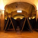 벨라비스타 이미지