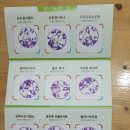 백의종군로 이미지