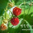 거기우리 이미지