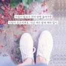 댓돌 이미지