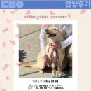 [입양후기] 푸미네_25.05.22._동물보호연대