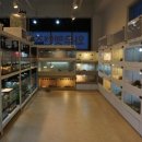 와우펫앤쥬 부산점 이미지