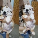 개린이날 이미지