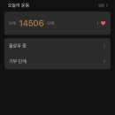 포댕포댕 이미지