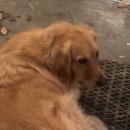 순한농장 이미지