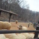 해오름 목장 이미지