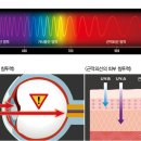대동안경 이미지